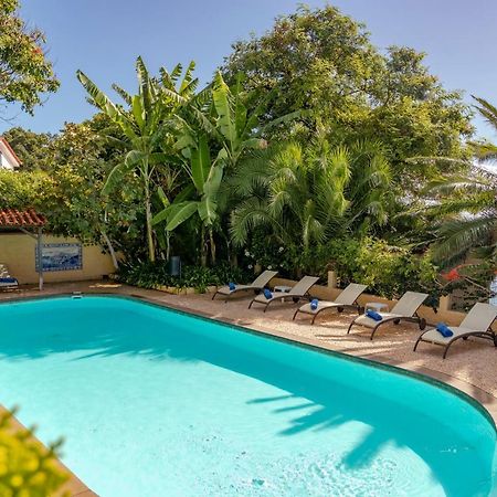 Villa Albatroz Canico  Exterior photo